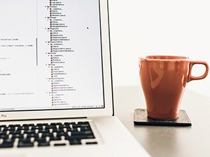 developer-1