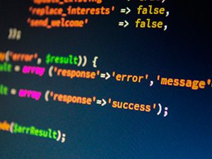 developer-3