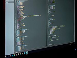 developer-6