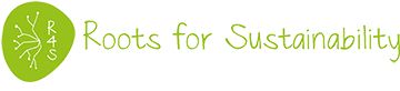 logo-r4s