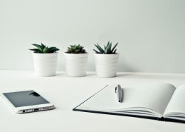 empresas con personalidad