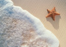 Salvando estrellas